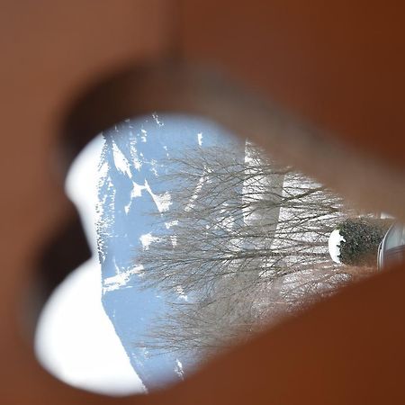 Casa Franca Daire Cavalese Dış mekan fotoğraf